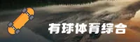 功能与服务详解